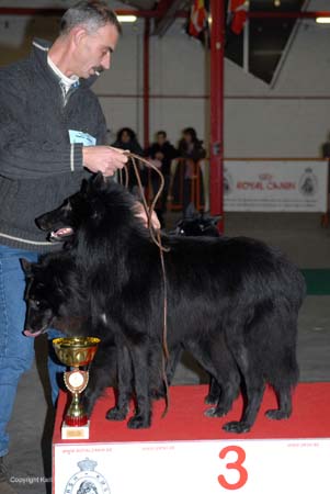 gal/Expo_janvier_2008/zoom (109).jpg